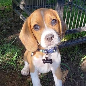 Meet your Posher, Ashlee